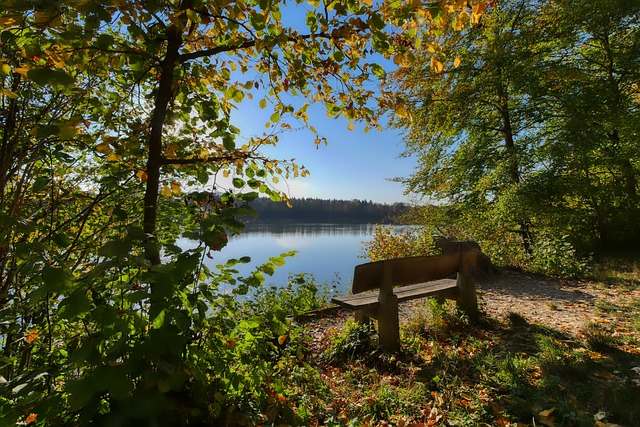 欧冠积分榜：拜仁、阿森纳、国米全胜领跑，下轮前二直接对话