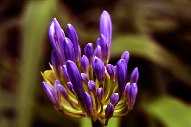 而重要的戰 而重要的戰