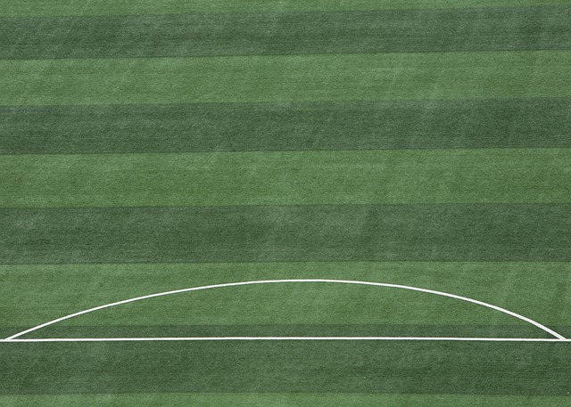 这批拥有潜 这批拥有潜