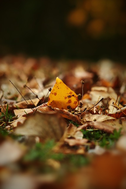 职业体育中 职业体育中