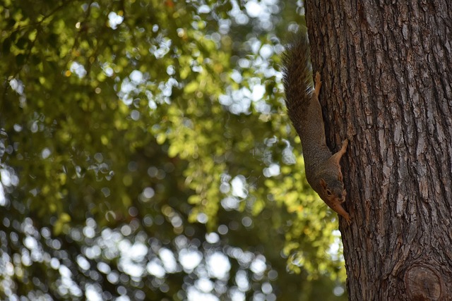 层面来看 层面来看
